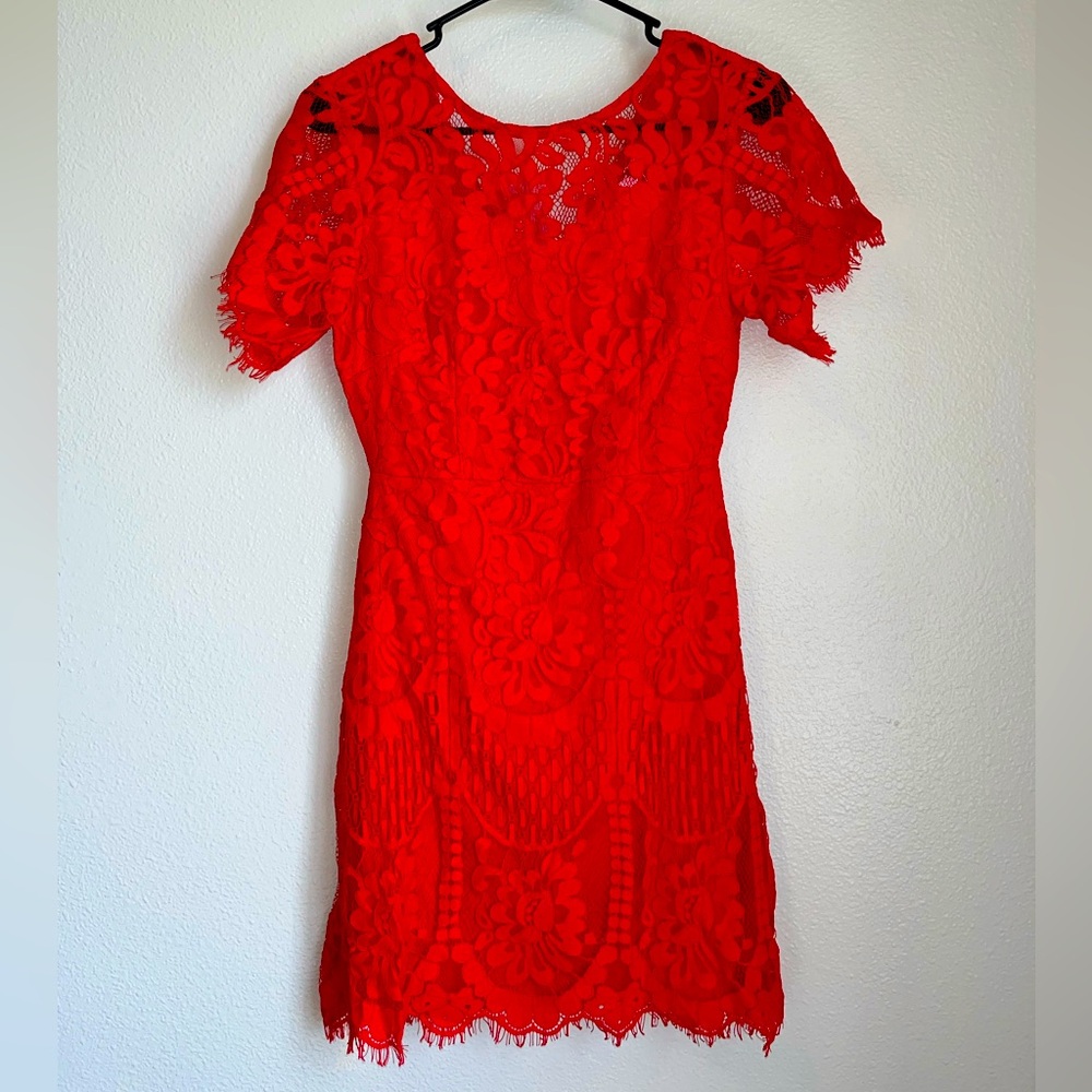 MSLG Women's Elegant Round Neck V-Back Floral Lace A-Line Dress| Size S and L